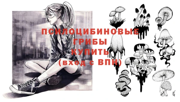 круглые Алексеевка