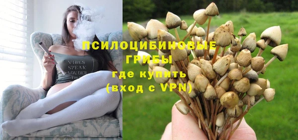 круглые Алексеевка