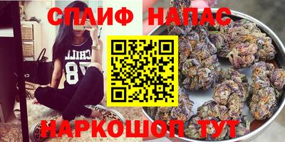 прущие грибы Канаш