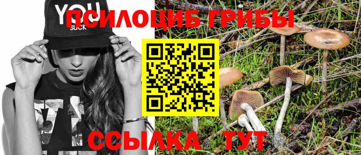 Новый Уренгой  Галлюциногенные грибы Cubensis  Вход с VPN 